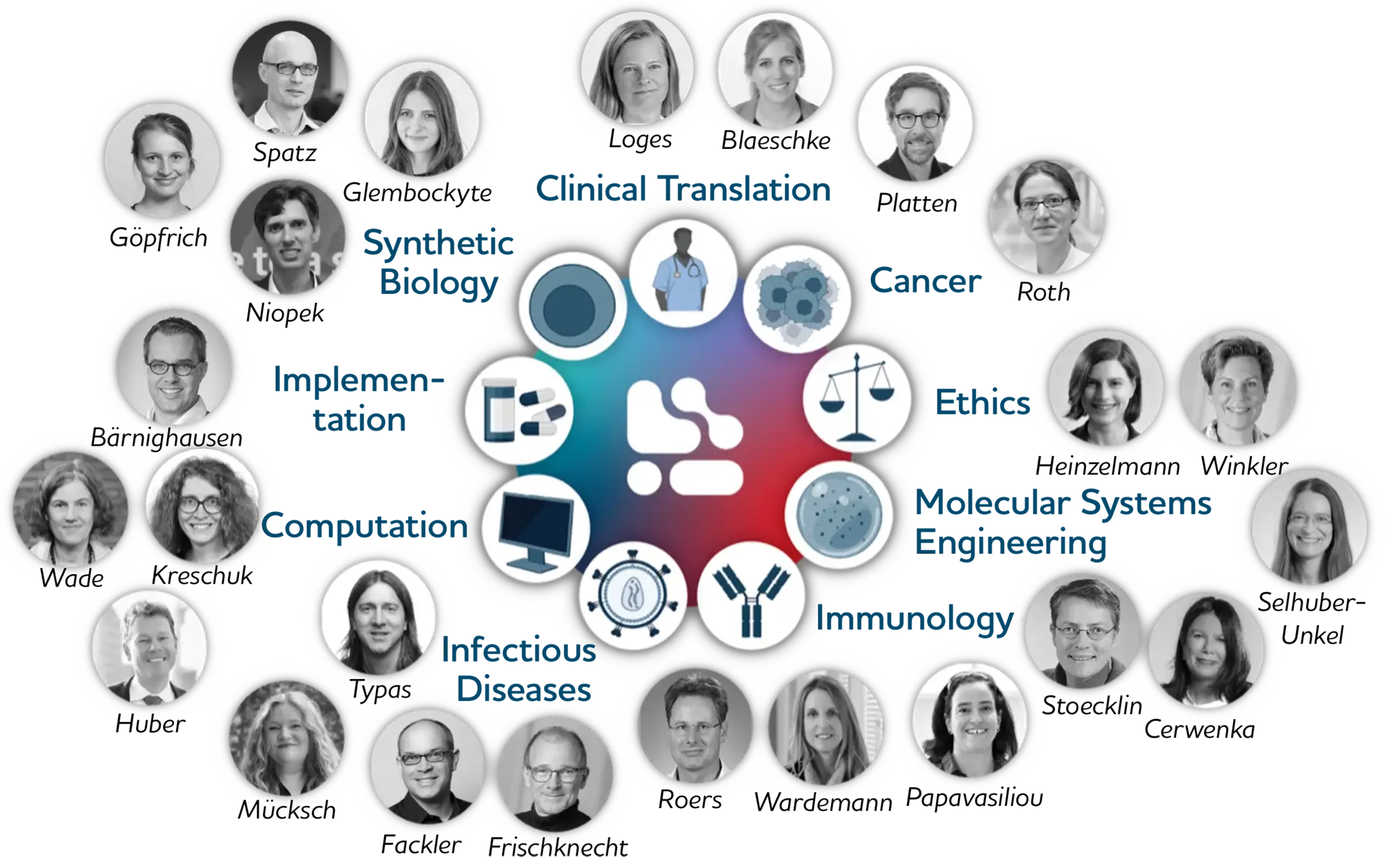 Who we are: this concentration of specific expertise coupled to the capacity for clinical translation is unique in Germany. SynthImmune is an interdisciplinary network