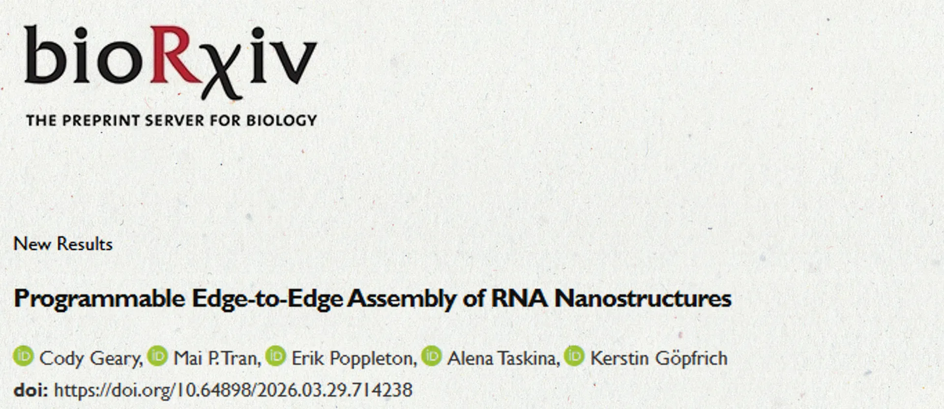The lab of SynthImmune PI and co-spokesperson Kerstin Göpfrich: “Programmable Edge-to-Edge Assembly of RNA Nanostructures”