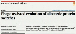 New publication from the group of Dominik Niopek: Phage-assisted evolution allosteric protein switches
