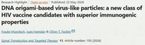 Research Highlight: DNA origami-based virus-like particles are new HIV vaccine candidates