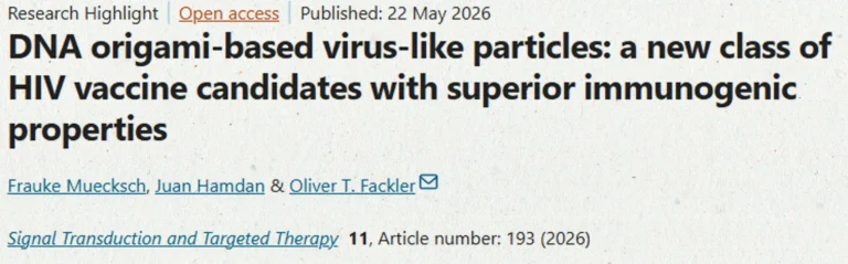 Research Highlight: DNA origami-based virus-like particles are new HIV vaccine candidates