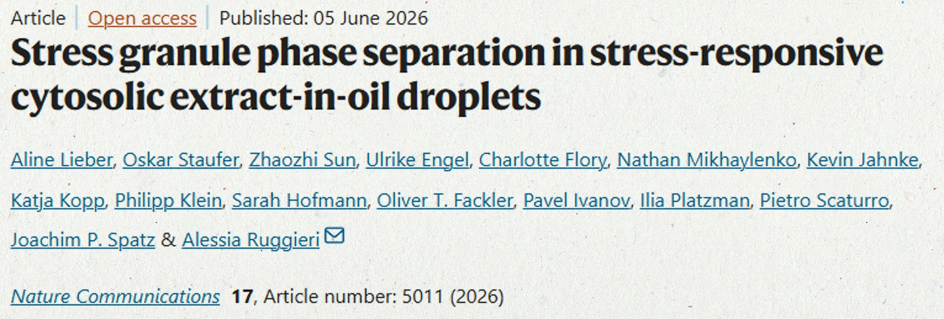 SynthImmune PIs Alessia Ruggieri, Joachim Spatz, Ilia Platzman, Oliver Fackler, and Kevin Jahnke: "Stress granule phase separation in stress-responsive cytosolic extract-in-oil droplets"