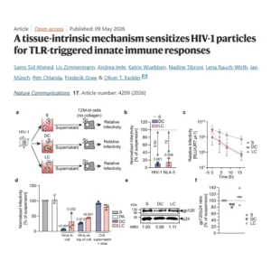 The labs of SynthImmune PIs Oliver Fackler and Petr Chlanda have published a paper in the journal Nature Communications