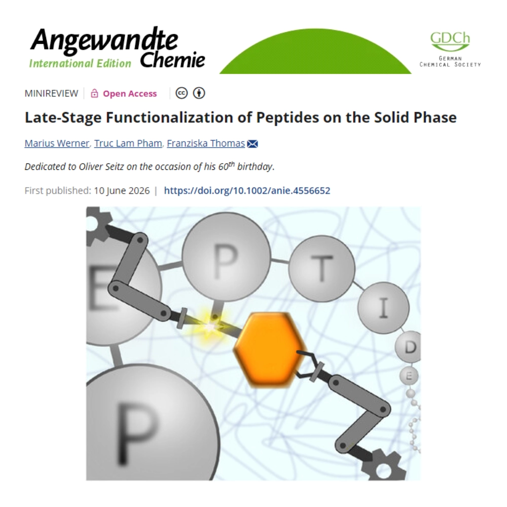 The lab of SynthImmune PI Franziska Thomas has published a review in the journal Angewandte Chemie (International Edition) entitled “Late-Stage Functionalization of Peptides on the Solid Phase”.