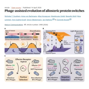 The lab of SynthImmune PI Dominik Niopek has published a paper in the journal Nature Communications