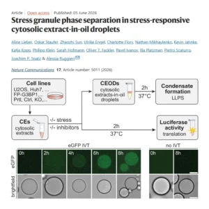 Several SynthImmune PIs published a paper in the journal Nature Communications