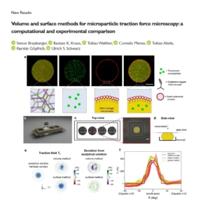 The labs of SynthImmune PIs Kerstin Göpfrich and Ulrich Schwarz have posted a preprint entitled “Volume and surface methods for microparticle traction force microscopy: a computational and experimental comparison”.